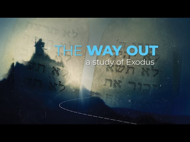 The Way Out: No Ifs, Ands, or Buts - Jeff Faull, 01.17.2021 class=