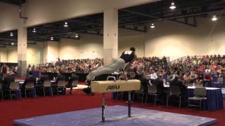 Donothan Bailey - Pommel Horse - 2016 Winter Cup Finals