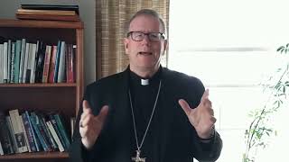Bishop Barron on Religious Freedom & Gender Ideology in Minnesota