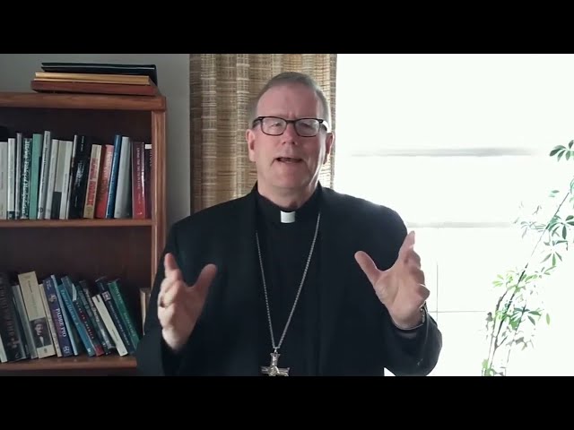 Bishop Barron on Religious Freedom u0026 Gender Ideology in Minnesota class=