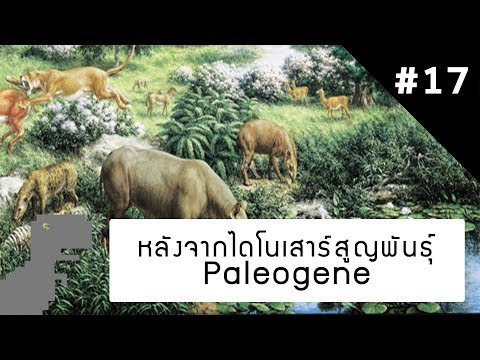 วีดีโอ: สัตว์ชนิดใดที่อาศัยอยู่ในยุค Paleogene?