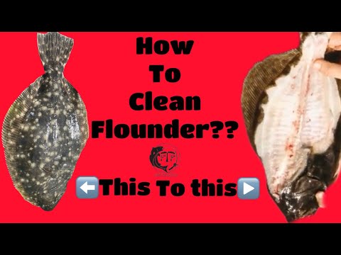 How to clean a FLOUNDER without missing any meat!