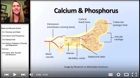 10.5 Minerals: Calcium and Phosphorus