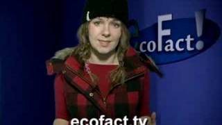 Ecofact.tv - Cups