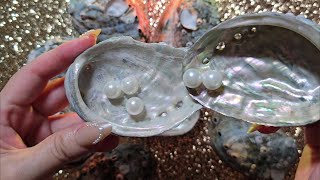 Ocean Jewel ASMR 🌊🐚 | Pearl Tingles & Seashell Serenity🫧