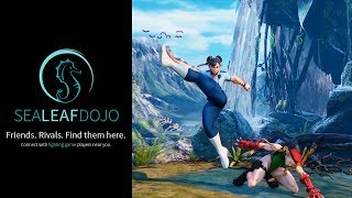 Meaty Attacks [Fighting Game Mechanisms]
