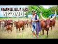 NYANKOLE GUJA HASI NG OMBE OFFICIAL AUDIO 2026 