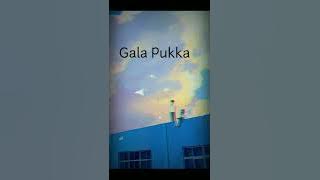 Gala Pukka (Cover)