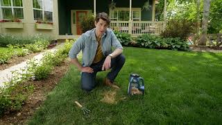 Black Beauty Patcher Lawn Repair by Jonathan Green