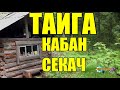 ОХОТА НА КАБАНА | СЕКАЧИХА  | ТАЙГА