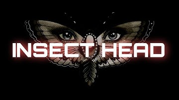 INSECT HEAD - PART 1 | Side view of insect head | Entomology