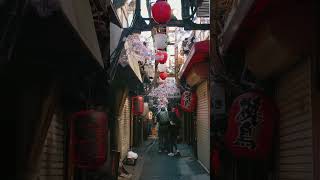 Painting An Alleyway In Tokyo, Japan!