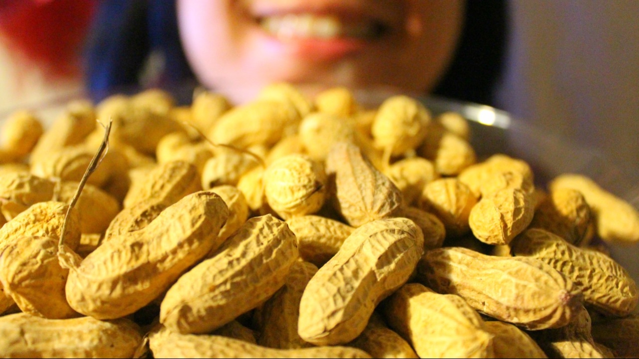 ASMR Поедание варёного арахиса 