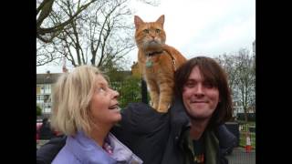 Street Cat Bob and James Bowen visit Ebony Horse Club