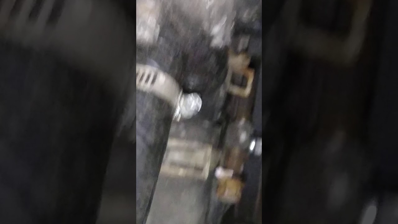 2000 Nissan frontier serpentine belt squealing problem YouTube