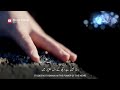 Beautiful islamic whatsapp status  they are proud of their beauty  wo andaz dil fareb 