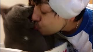踊ってるキモいおっさんがキッスしてきたから咬んだった！
