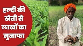 Haldi की खेती से कमाइए लाखों रुपए का मुनाफा। Turmeric Farming.