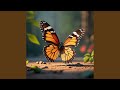 Butterfly Dreams