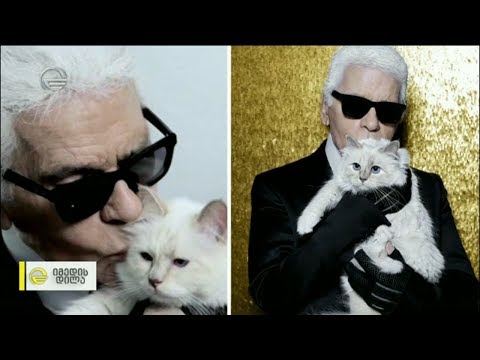 მემკვიდროებითი სამართალი და ცხოველებისთვის დატოვებული ქონება