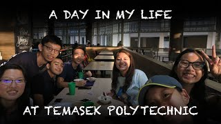 A Day In My Life At Temasek Polytechnic