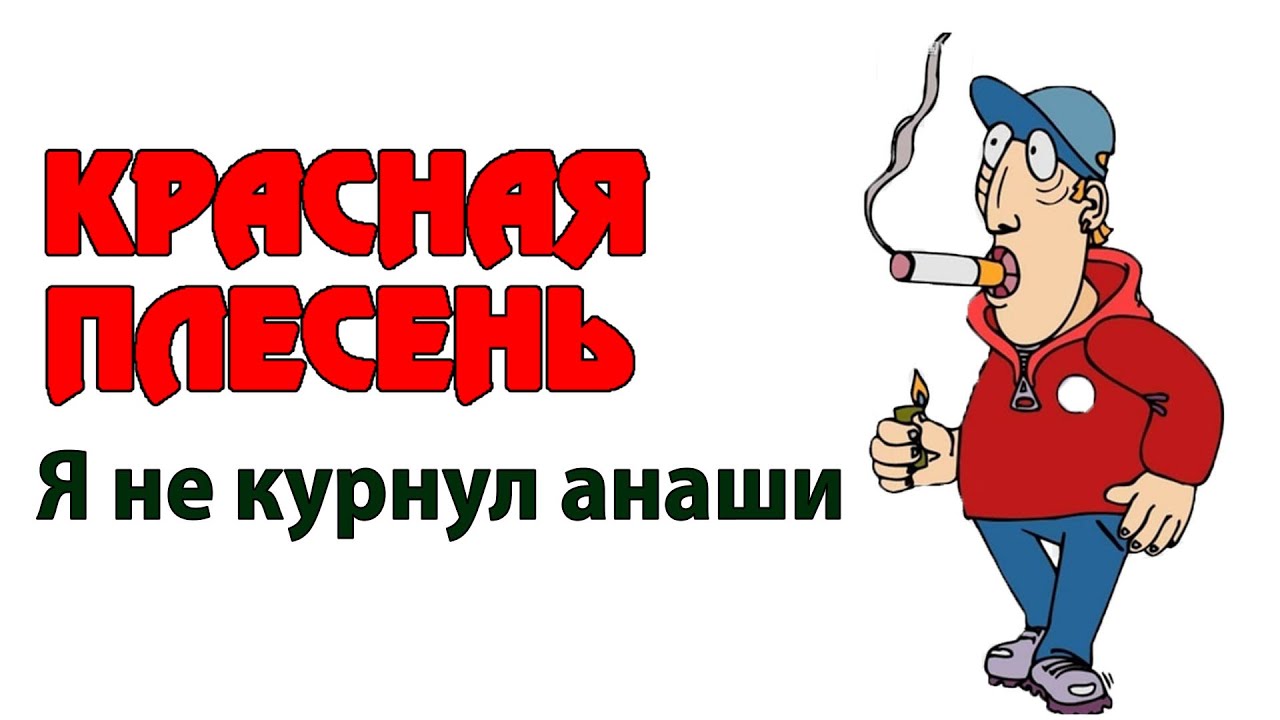 Курнул а вроде не навоз. Я не курнул анаши красная плесень. Красная плесень на марихуане. Красная плесень картинки. Красная плесень логотип.