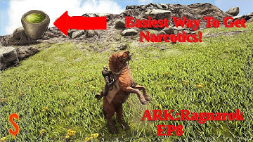 Easiest Way To Farm Narcotics, Ark Ragnarok EP8