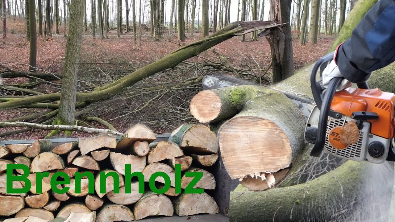 Brennholz Selber Machen