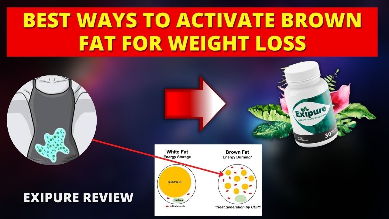 EXIPURE SUPPLEMENT REVIEW - Best Ways To Activate Brown Fat For Weight Loss - EXIPURE REVIEW