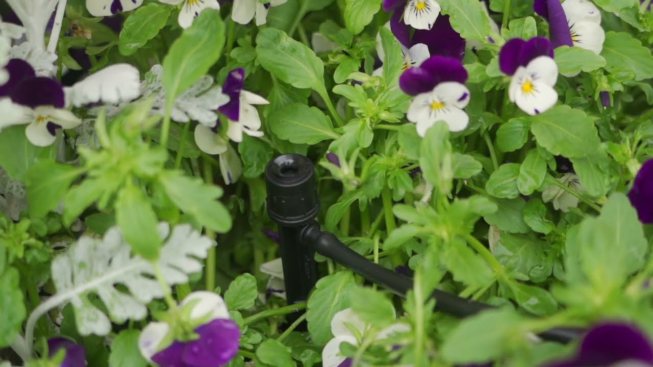 How to Install a Spectrum Spray Complete with Spike and Barbed Connector