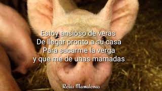 El Ansioso - Grupo Marrano [ Letra ]