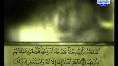 سورة محمد كاملة الشيخ علي الحذيفي