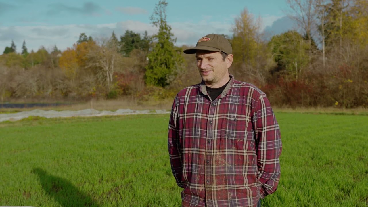 The Benefits of Cover Crops: Lessons from Square Root Farm