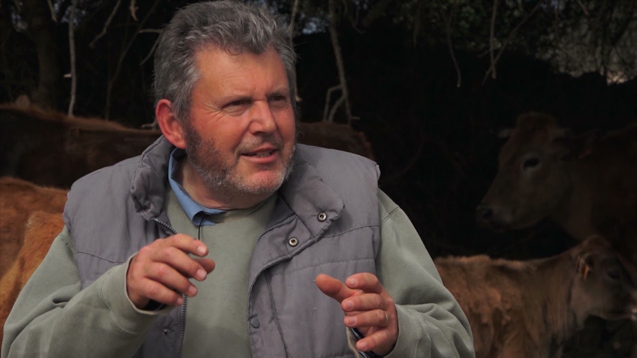 UEP! COM ANAM? [494] - PASTOR A L’ANTIGA, VAQUES, BOUS I BLATS PREHISTÒRICS I HORTALISSA MENORQUINA