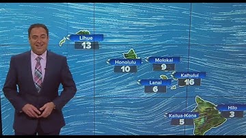 Breezy trade winds, light rain is expected