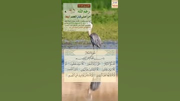 القران الكريم. سورة التكاثر مكتوبة / سعود الشريم .