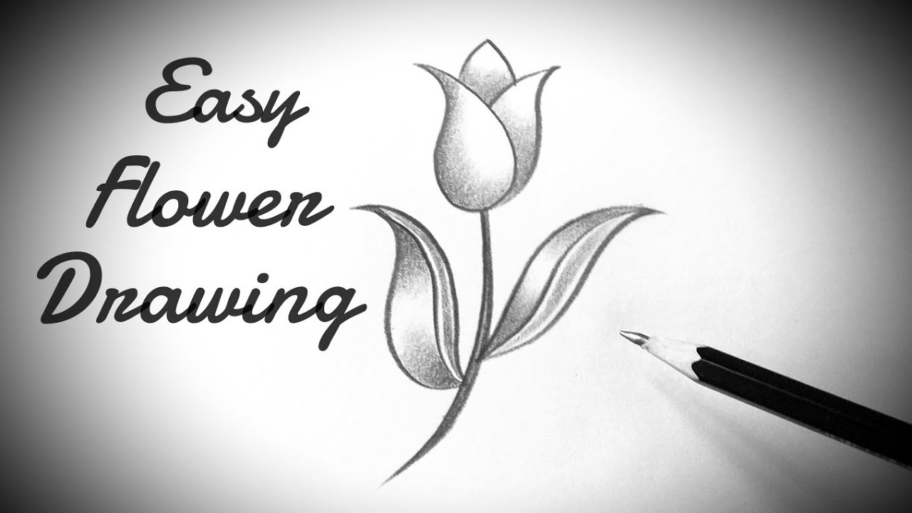 How to draw a flower easy step by step Simple Drawing and Shading ...