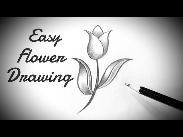 Simple Flower Drawing, Quick, Draw, drawing Birds, quick Draw, Birds, simple,  Pencil, Sketch, arts, plant Stem | Anyrgb