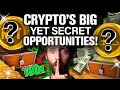 The BIGGEST Yet UNKNOWN Opportunity in Crypto (Max Gains!)