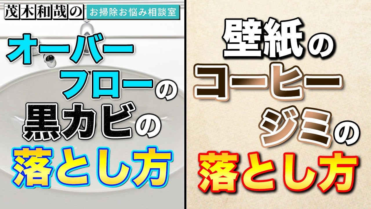 オーバーフローの黒カビの落とし方と壁紙のコーヒージミの落とし方 茂木和哉のお掃除お悩み相談室 Youtube