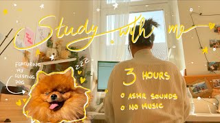 3 Hour STUDY WITH ME | ASMR | NO MUSIC