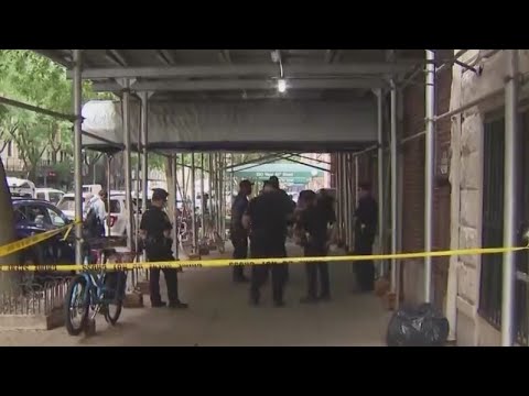 2 adults, 2 kids found dead in NYC apartment: police - YouTube