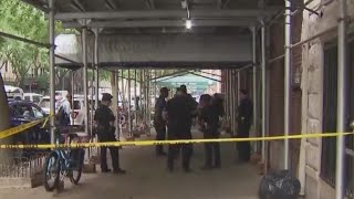 2 adults, 2 kids found dead in NYC apartment: police