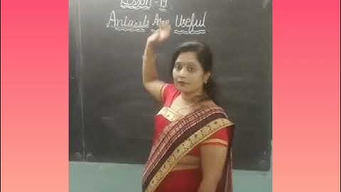 Class 2 - EVS - C19 - Animals are Useful