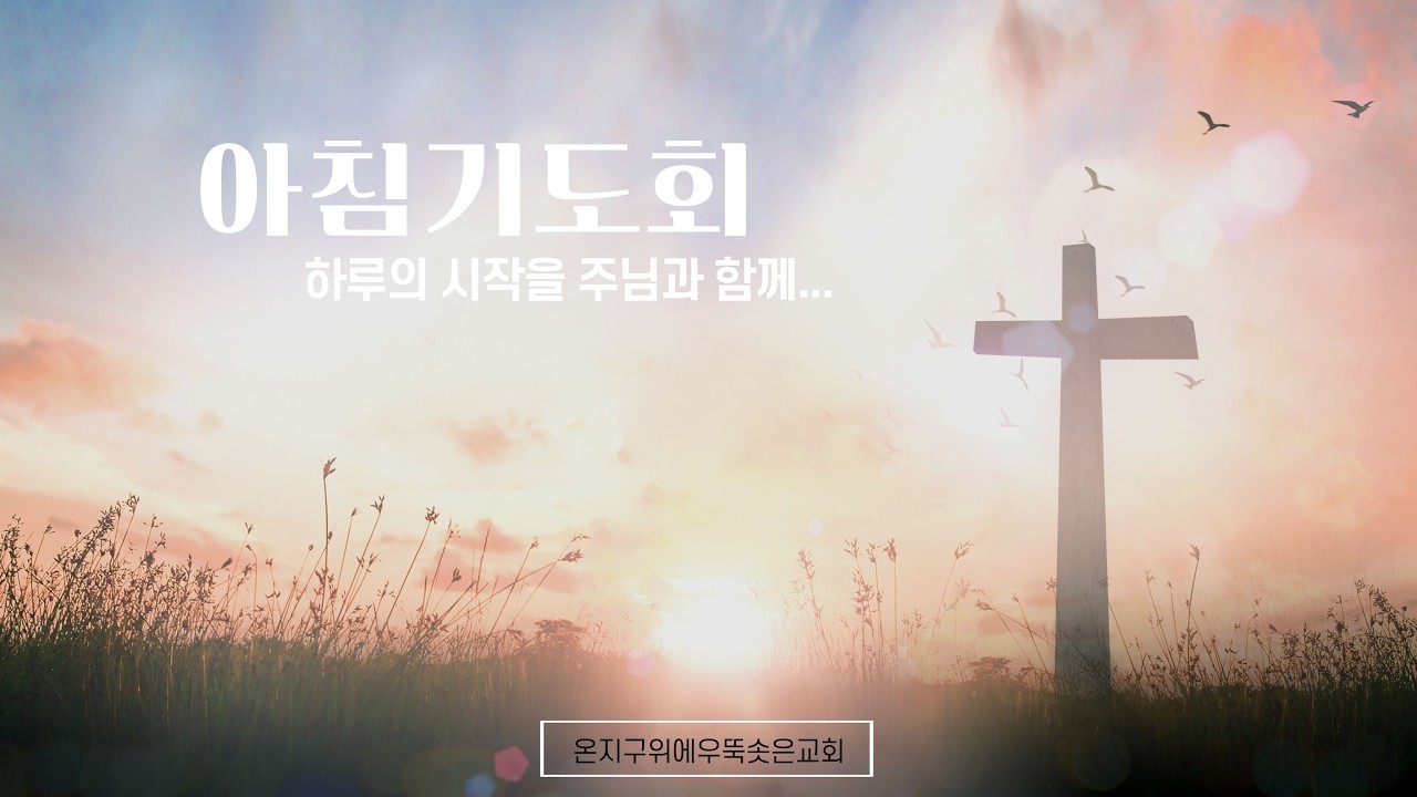 우뚝솟은교회.아침기도회.이대원목사.요삼1:11-12. 26.03.02.월요일.