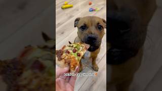My Puppys First Slice Of Pizza