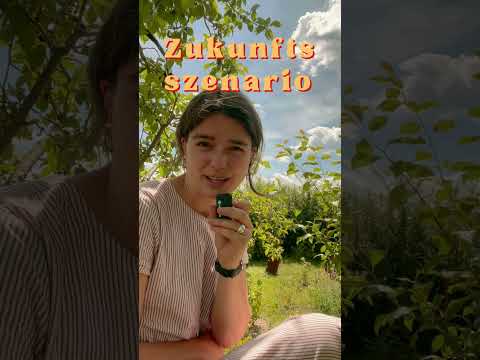 Wenn die Bienen schweigen YouTube Hörbuch Trailer auf Deutsch