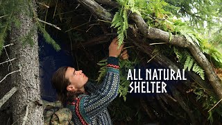1 Hour Relaxing Camping: Building a PRIMITIVE SHELTER - Nordic Forest
