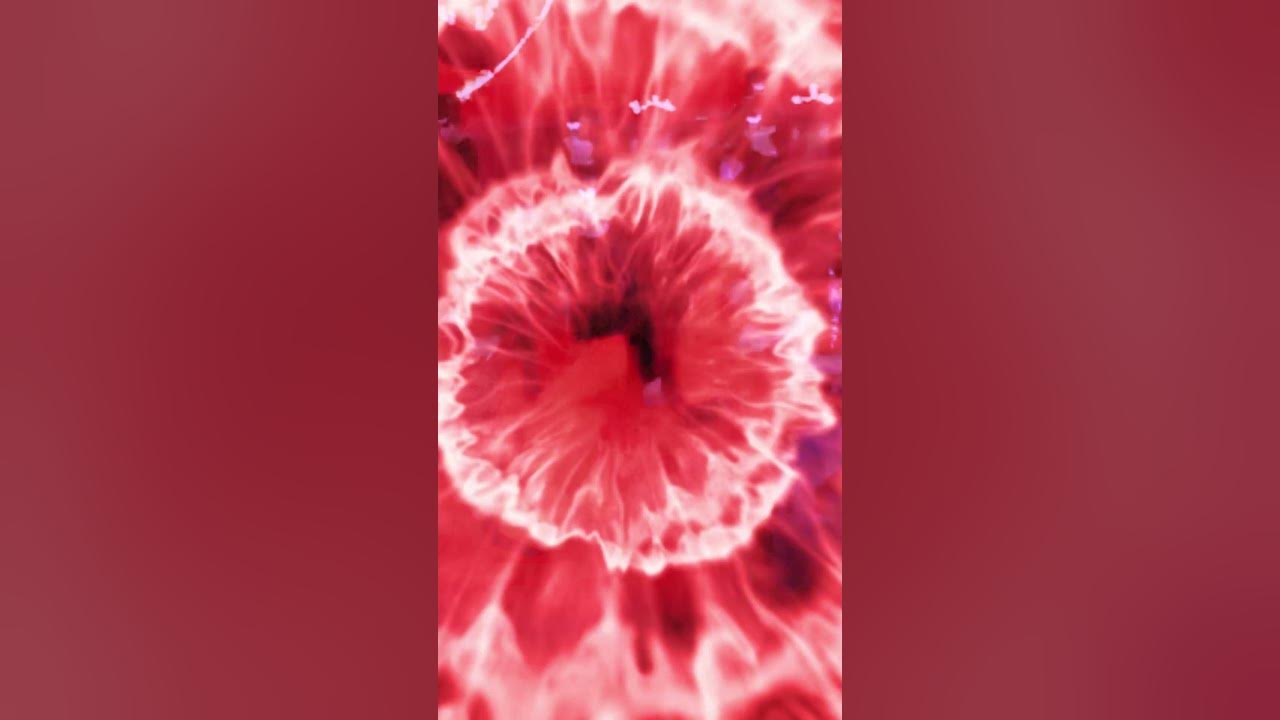 Trending love mashup songs 2025 trending romantic mashup 2025 Pop