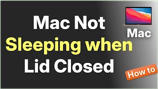 Mac Not Sleeping When Lid Closed : How to Fix
